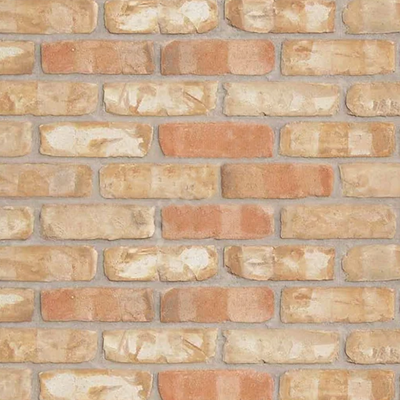 Thin Clay Brick Veneer - Chicago Common - Flat - Small Box (7 SF)