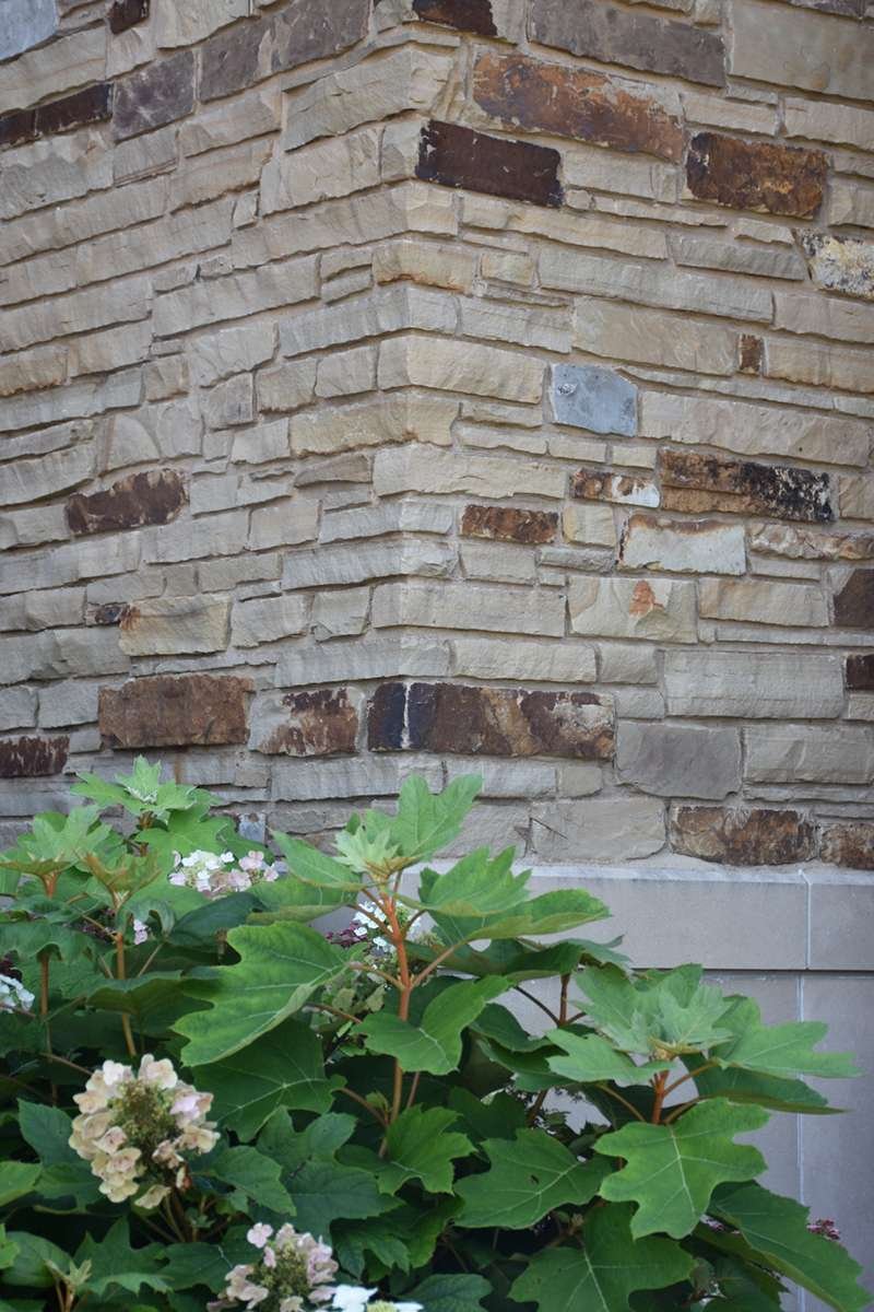 Mesa Sandstone Ledgestone installed stone wall