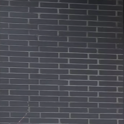 Thin Clay Brick Veneer - Eclipse - Flat - Small Box (8 SF)