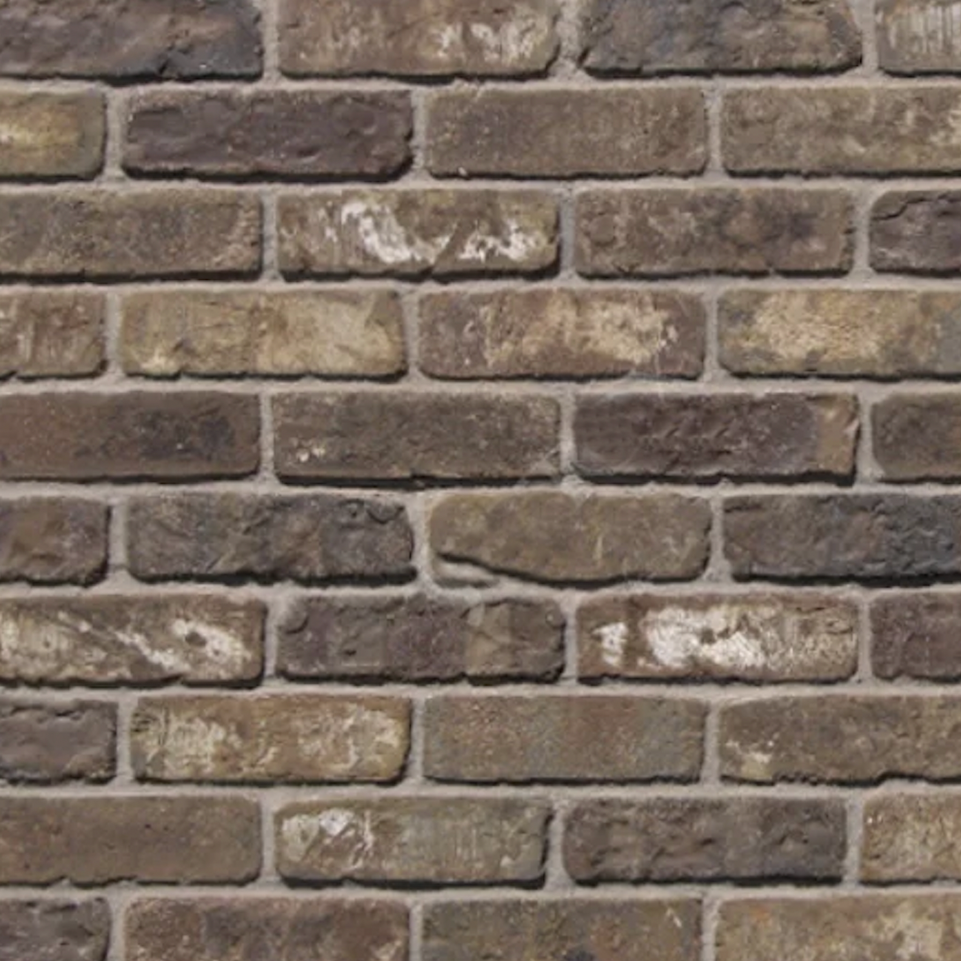 Thin Clay Brick Veneer - Embarcadero - Corners - Small Box (6.5 LF)