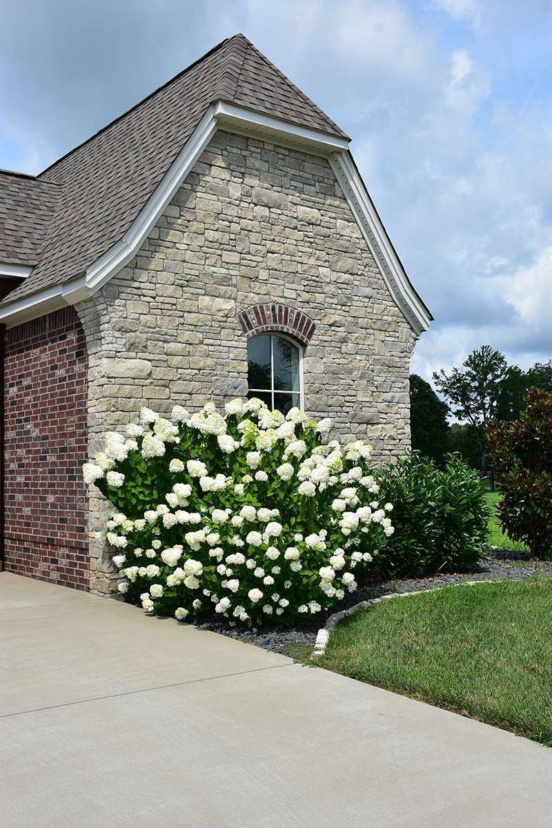 Princeton Manor Limestone Tumbled Dimensional natural stone project
